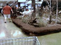 photos 2000-200901487